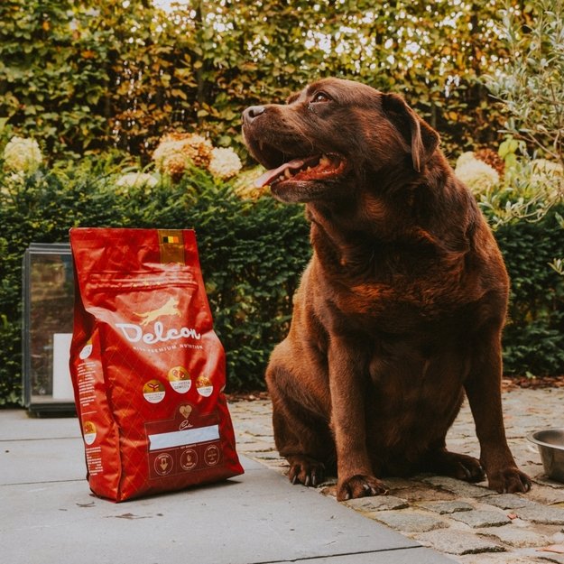 Visavertis pašaras suaugusiems šunims, turintiems padidėjusį svorį LIGHT / 3 kg 1