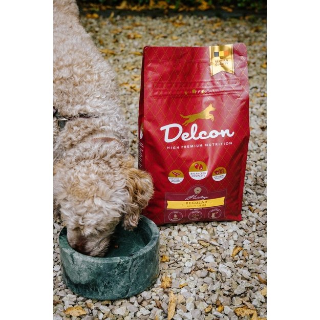 Visavertis pašaras suaugusiems šunims REGULAR su ėriena, didelių veislių / 3 kg 1