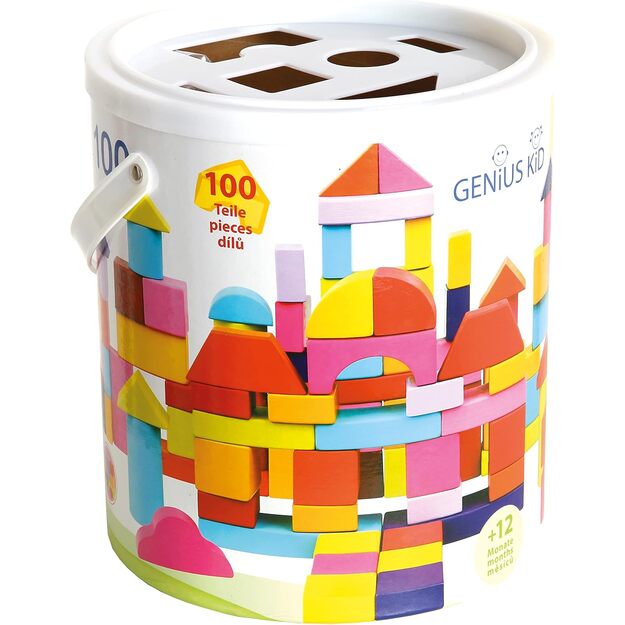 Krāsaini koka klucīši, 12 mēn+, 100 gab 1