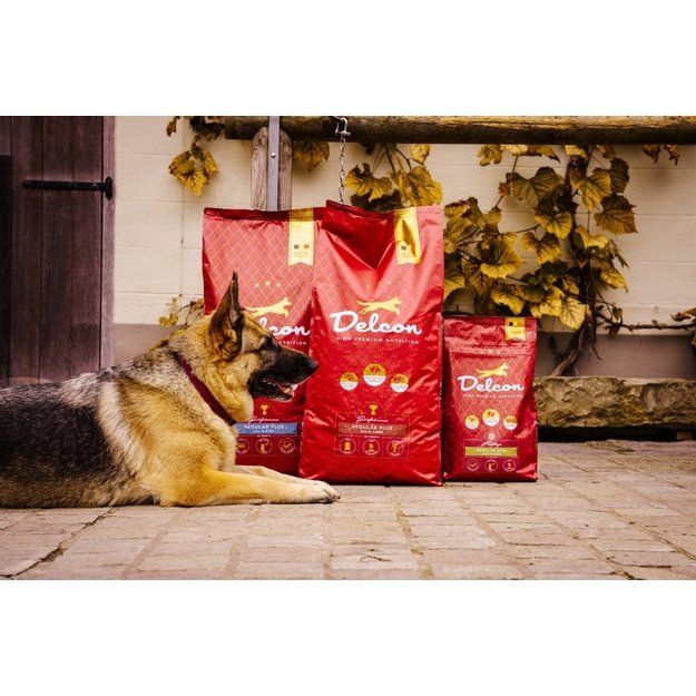 Visavertis pašaras suaugusiems šunims REGULAR PLUS su žuvimi / 12 kg 1