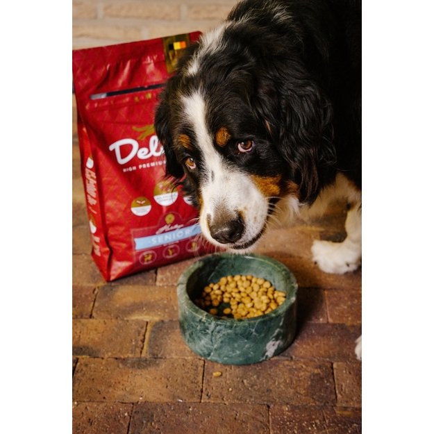 Visavertis pašaras šunims senjorams SENIOR, didelių veislių šunims / 3 kg 1