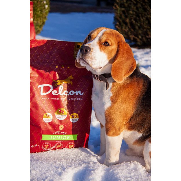 Visavertis pašaras jauniems šunims JUNIOR / 12 kg 1